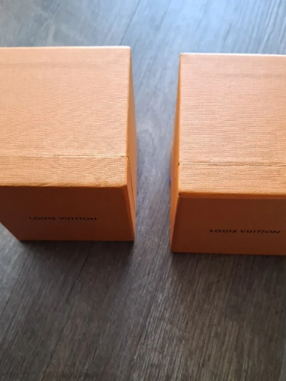 Louis Vuitton pair louis